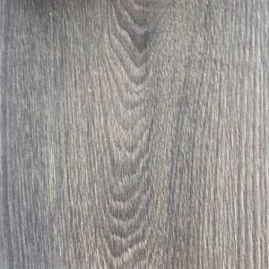Venus - 3748 - Artemida Oak